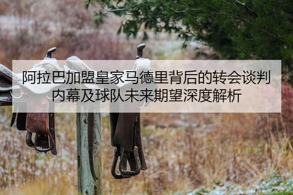 阿拉巴加盟皇家马德里背后的转会谈判内幕及球队未来期望深度解析（ONE ENTERTAINMENT）