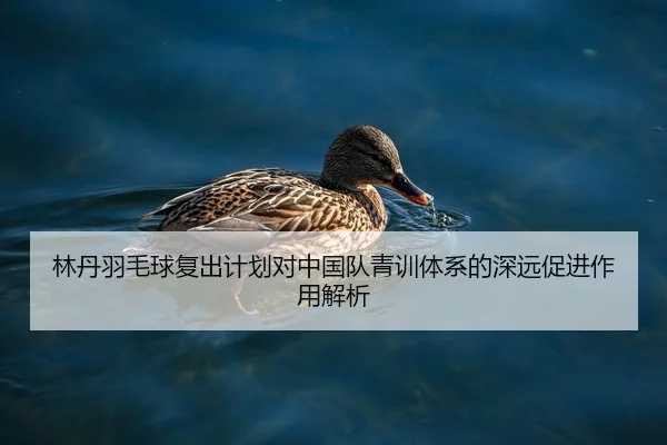 林丹羽毛球复出计划对中国队青训体系的深远促进作用解析 - ONE ENTERTAINMENT